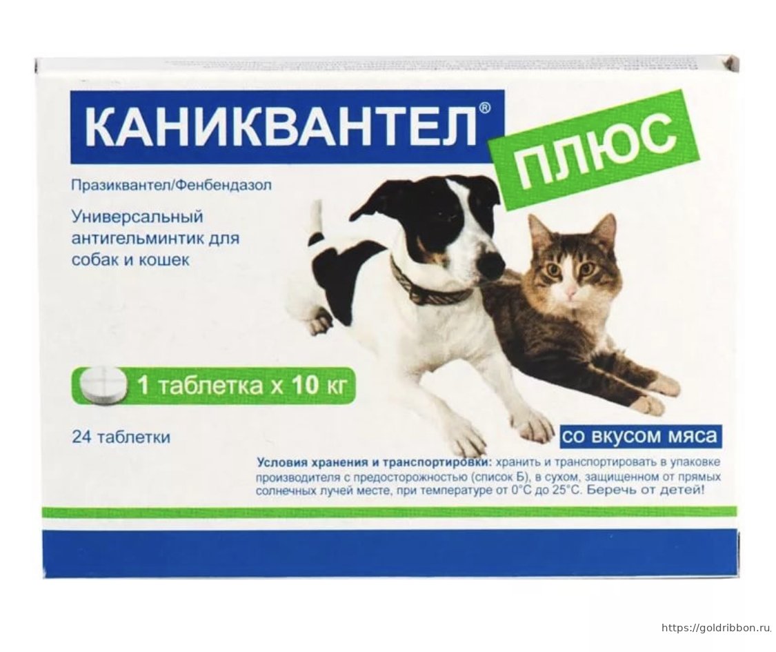 Глистогонные препараты для кошек таблетки