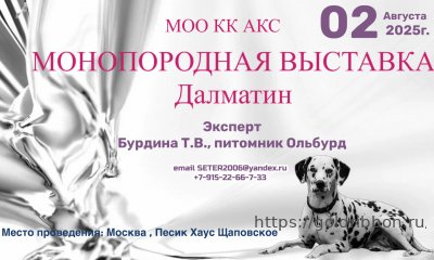 Приглашаем на выставку