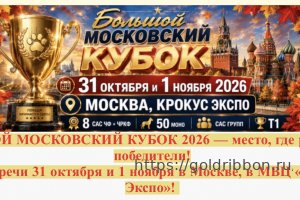 Большой Московский кубок