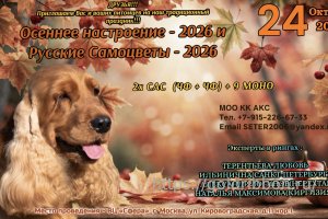 Приглашаем на выставку 24 октября 2026